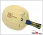 Timo Boll ZLF