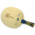 Timo Boll ZLF