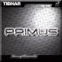 Primus