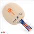 Timo Boll W5