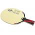 HAYABUSA Zxi (CP)