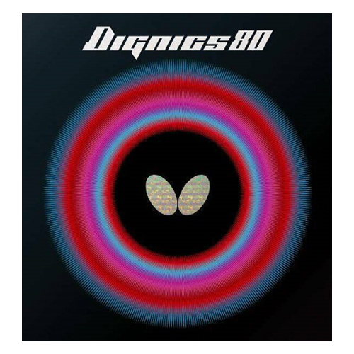 DIGNICS 80