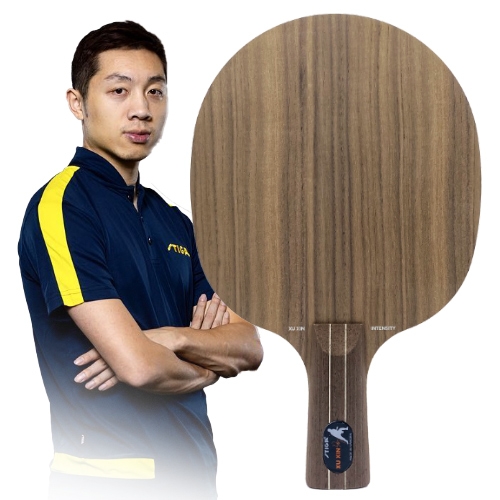 Xu XIN Intensity NCT Penholder KOREA