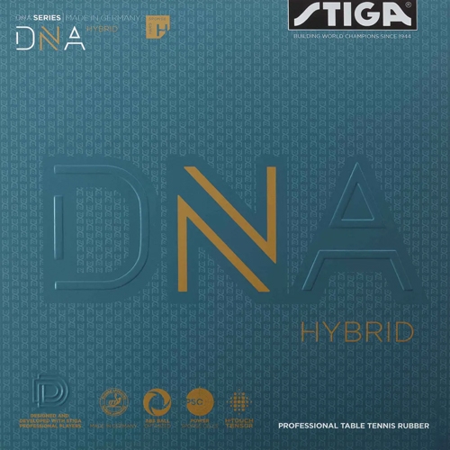 DNA Hybrid H