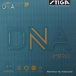 ★보물섬특가★ DNA Hybrid H